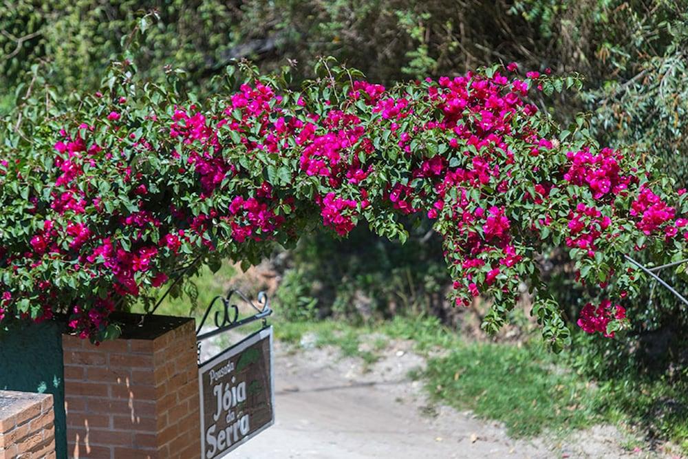 Pousada Joia Da Serra By Hotel Platanus Campos do Jordão 外观 照片